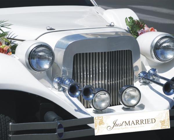 Autoschild "Just Married" in gold